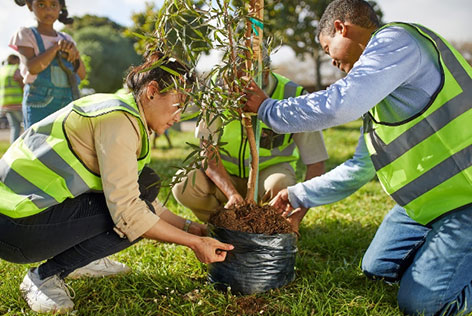 Tree planting drive