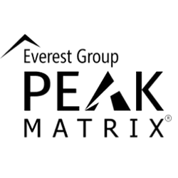 Leader: Everest Group for Advanced Analytics and Insights (AA&I) Services PEAK Matrix® Assessment 2023